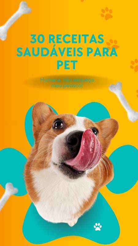 30 receitas saudáveis para seu pet