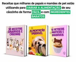 30 receitas saudáveis para pet — foto 3