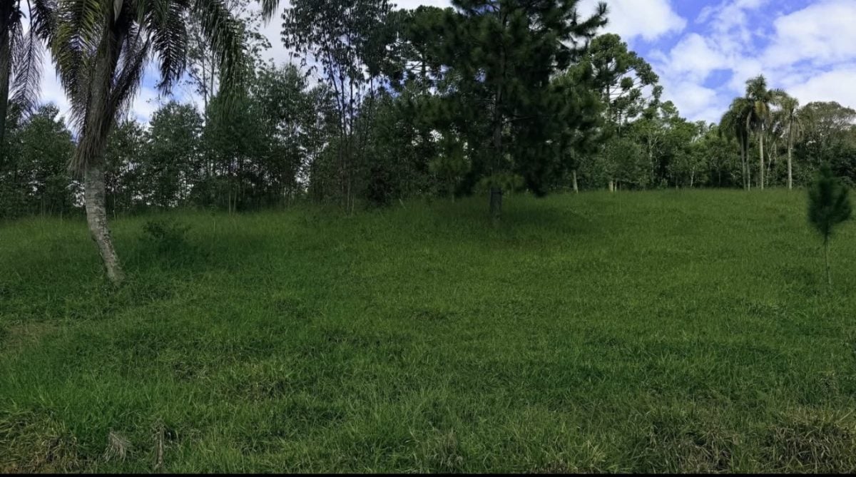 Terrenos a venda — foto 2
