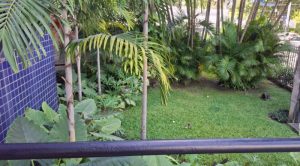 Alugo Ap Em Parnamirim — foto 9