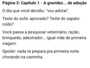 E-book sobre ser mãe de pet fiz inspirado na minha gata e pode ser legal para vc explorar — foto 4