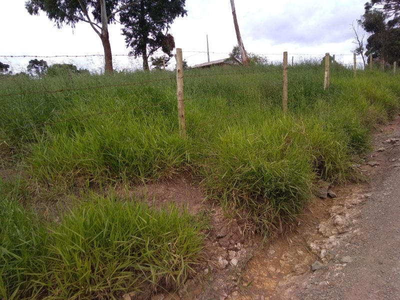Terreno/lote em Reserva