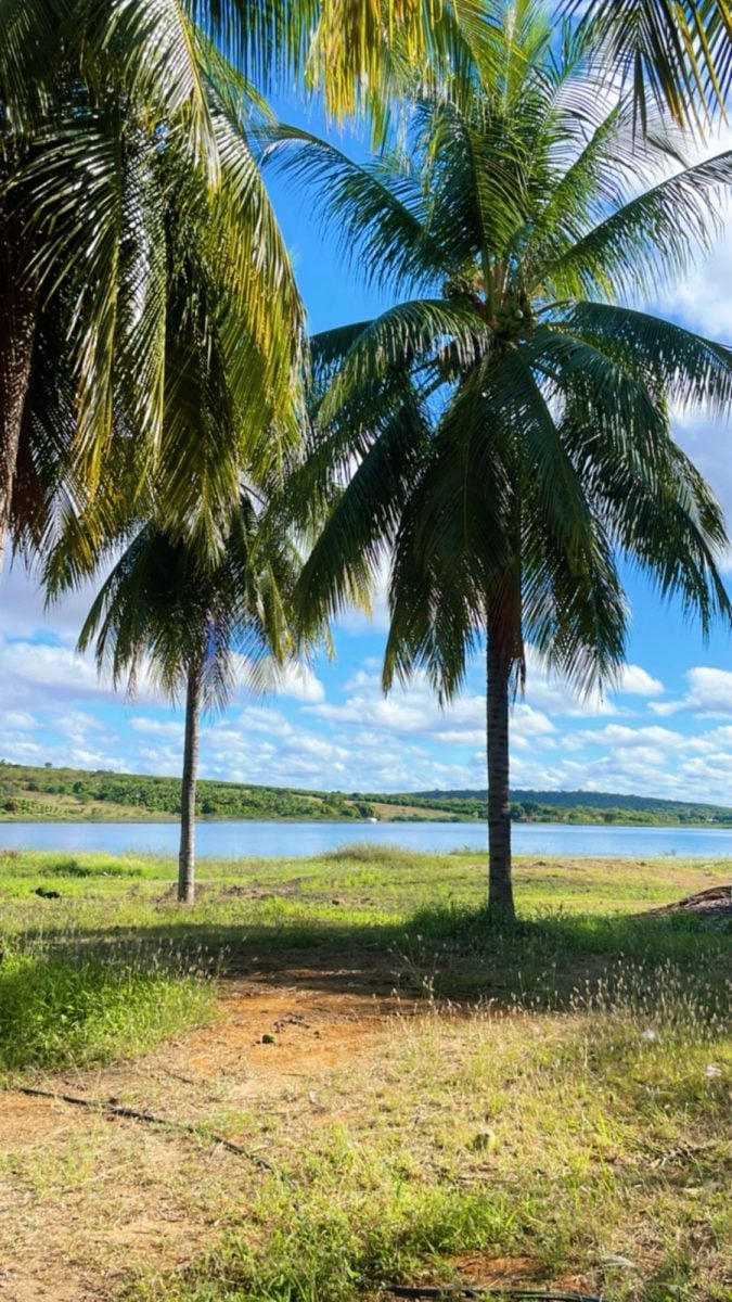 Lote na beira da barragem de Anagé — foto 2