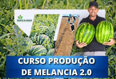 Curso Produção De Melancia 2.0