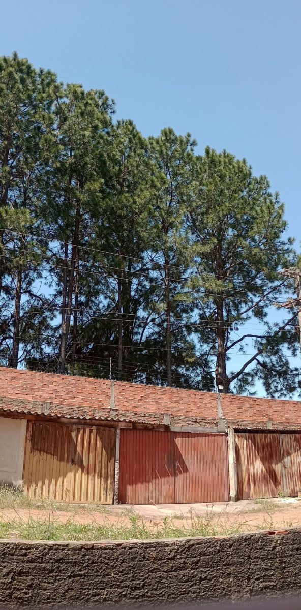 Apartamento em Itapetininga — foto 2