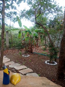 Casa a venda Altiplano Leste — foto 7