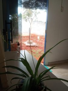 Casa a venda Altiplano Leste — foto 8