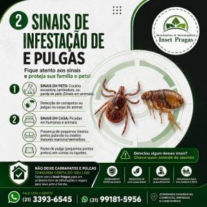 Controle de pragas urbanas e Desentupimentos e com a Inset pragas. — foto 9