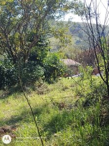 Chácara norte de sjcampos — foto 11