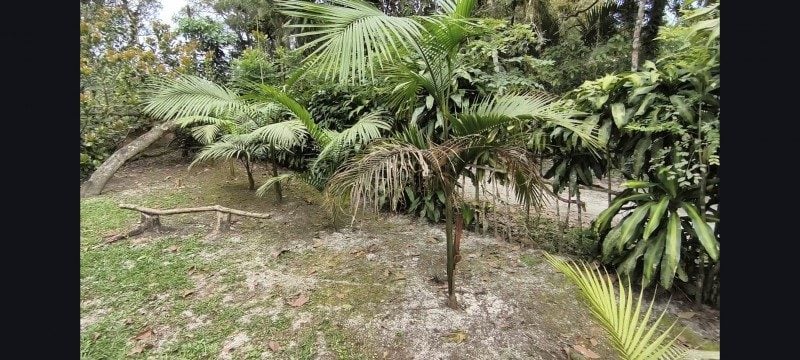 Terreno/lote/chácara limpo na praia de Paranaguá pronto para construir — foto 2