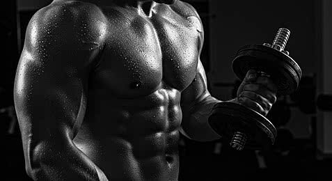 Guia de Musculação Completo