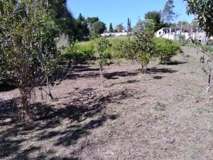 Terreno de 2.220m² Pronto para Construir no Verava, Ibiúna Com Lago, Riacho com Peixes e — foto 18