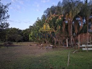 Chácara A Venda — foto 3