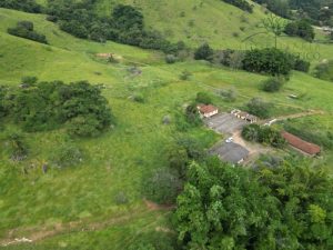 Vendo sítio/chácara em Bueno Brandão MG 4,51 ha 45.100 m² ótimo acesso direto com proprietár — foto 6