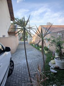 2 Sobrados à Venda Com 3 Quartos Bairro Atuba-curitiba — foto 3