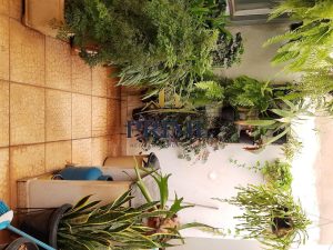 Casa A Venda — foto 6