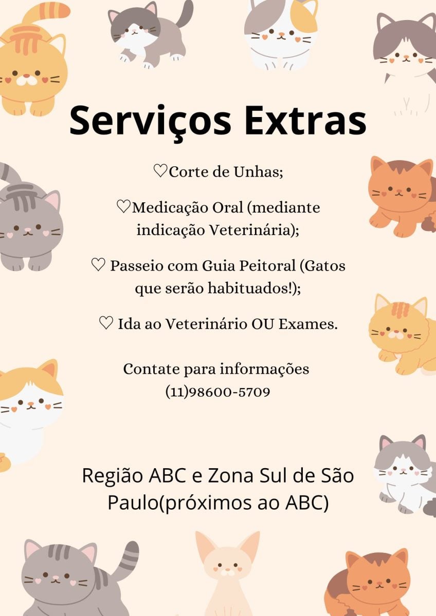 Cat Sitter (Babá de Gatos) — foto 2