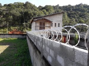 Concertina — foto 5
