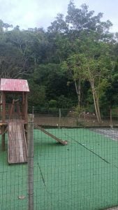 Terreno bem localizado — foto 7