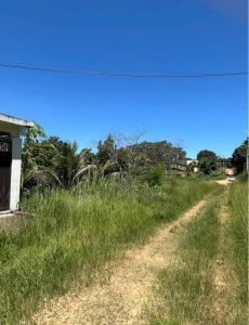 VENDO SÍTIO EM QUEIMADOS ÁREA RURAL 1.080m2 — foto 9