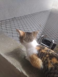 Rede e tela de proteção — foto 5