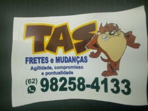 Tas frete transporte — foto 7