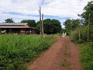 Chácara Bela vista — foto 3