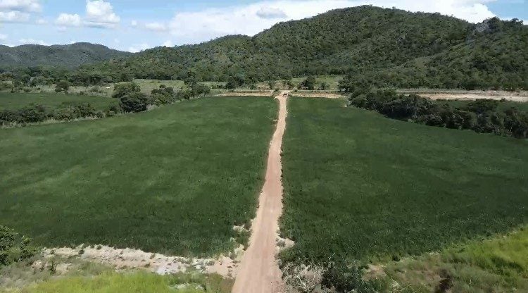 Fazenda Município de Vila Propício GO 2.589,40 Hectares ou 535 Alqueires Goiano. — foto 2