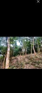 Terreno A Venda — foto 12