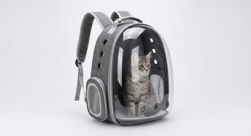 Mochila Pet Visão Ampla Transportadora Cães E Gatos Respirável Passeio Viagem