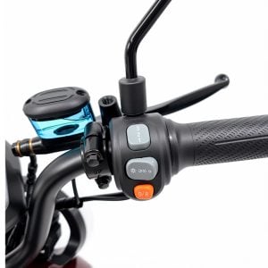 SKYBOARD Bicicleta Elétrica Grande 1000W 60V20Ah LFP 48km Quadro Aço Carbono Freio Duplo D — foto 7