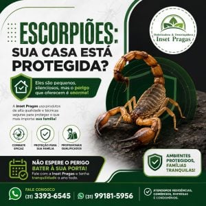 Controle de pragas urbanas e Desentupimentos e com a Inset pragas. — foto 8