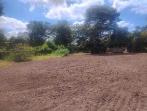 Chácaras Versalhes — foto 6