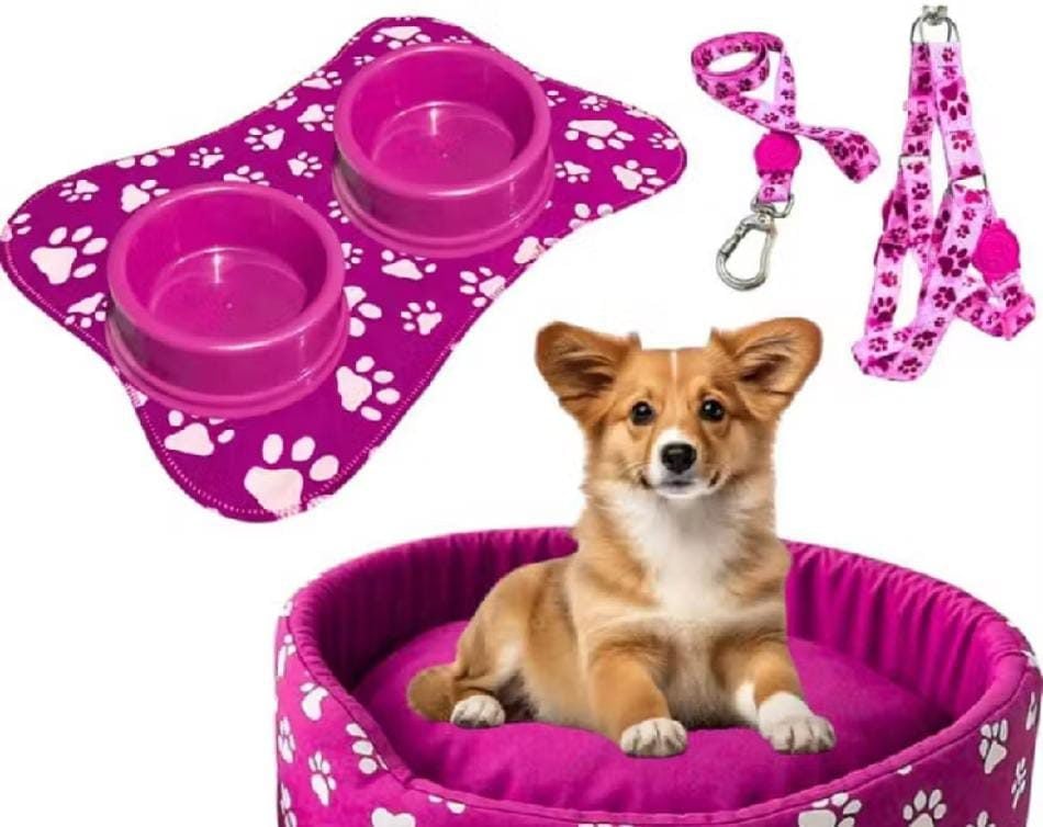 Kit para cachorro de porte pequeno — foto 2