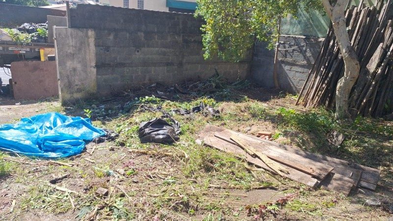 Corte de arvore de Limpeza de terreno em Santo André São Bernardo