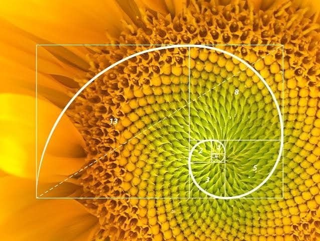 Curso online O Código de Deus - Acesso Vitalício