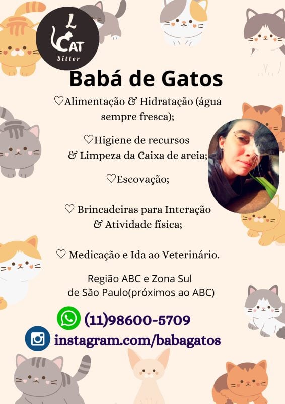 Cat Sitter (Babá de Gatos)