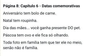 E-book sobre ser mãe de pet fiz inspirado na minha gata e pode ser legal para vc explorar — foto 9