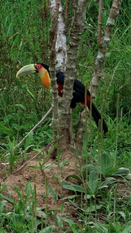 Terrenos a venda