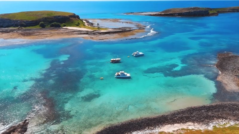 Experiência exclusiva de mergulho em Abrolhos