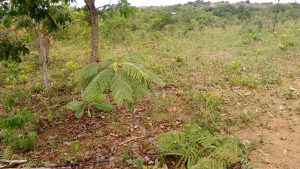 Terreno 30X70 2.100 MT. Escriturado Barato — foto 5