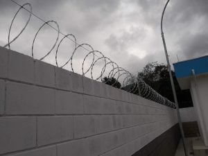 Concertina são sebastião — foto 5