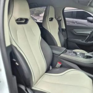 BYD King GS 1.5 16V Aut. (hibrido) — foto 7