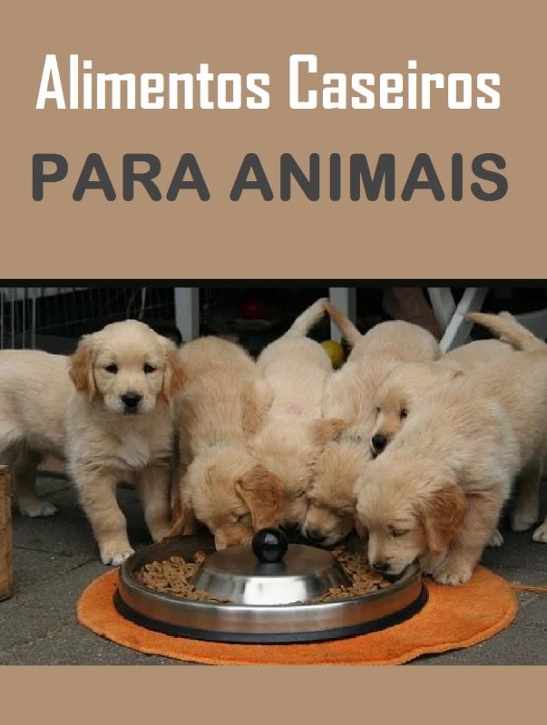 E-book Receitas de Alimentos Caseiros para Cães e Gatos e Animais de Estimação