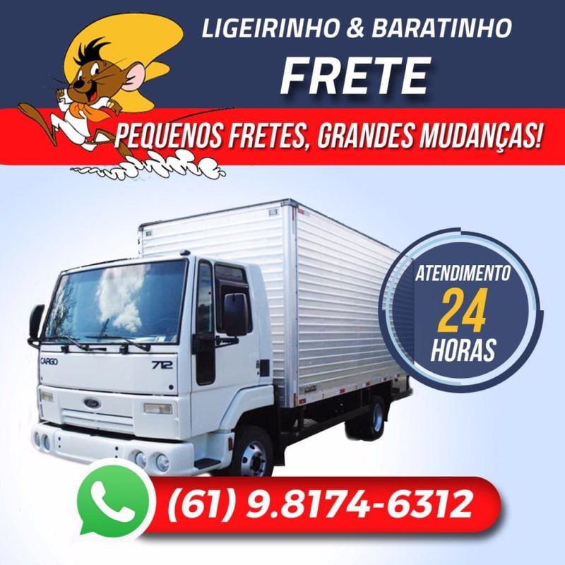 Mudança Profissional Barata.