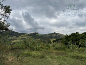 Vendo sítio/chácara em Bueno Brandão MG 4,51 ha 45.100 m² ótimo acesso direto com proprietár — foto 3