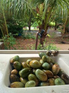 Oportunidade em iranduba r$ 80.000,00 (à vista não financia) — foto 6