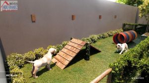 Apartamento para Venda em Olinda, Jardim Atlântico, 2 dormitórios, 1 suíte, 1 banheiro, 1 — foto 5