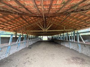 Vendo sítio/chácara em Bueno Brandão MG 4,51 ha 45.100 m² ótimo acesso direto com proprietár — foto 7