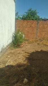 Casa à venda Quitada — foto 4